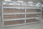 رولینگ بخش Carton Flow Rack 4 Level Beam Level Light duty Movable Storage Management